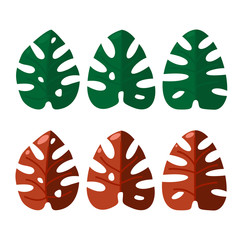 Monstera Tropical Jungle Plant Green Leaves. Flat Vector Illustration Set Isolated on White.