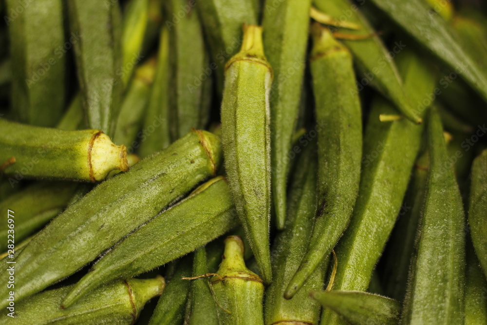 Wall mural ladyfinger in india is a vegetable is hybrid