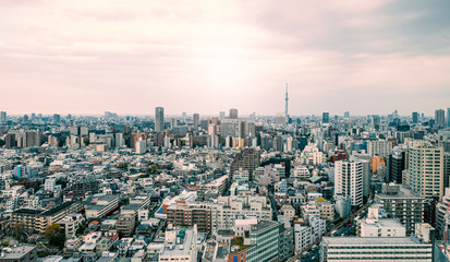 Tokyo skyscraper with Tokyo skytree in background in the morning