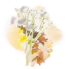 Watercolor flower composition. Hand drawn floral artwork. Fullsize raster. - 282237962