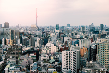 Fototapeta na wymiar Tokyo skyscraper with Tokyo skytree in background in the morning
