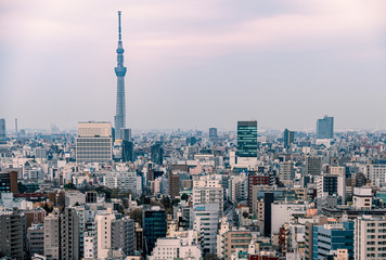 Fototapeta na wymiar Tokyo skyscraper with Tokyo skytree in background in the morning