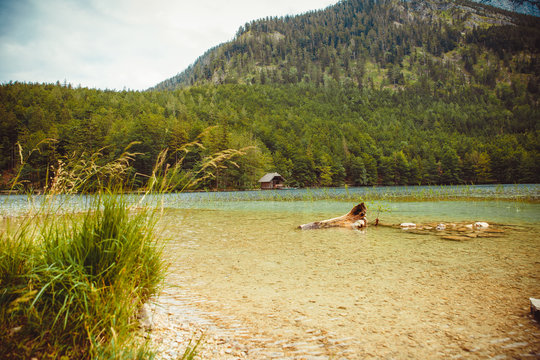 el_shaddai photos, images, assets Adobe Stock