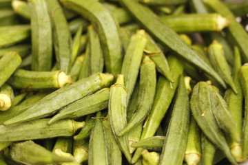 ladyfinger in INDIA is a vegetable is hybrid 