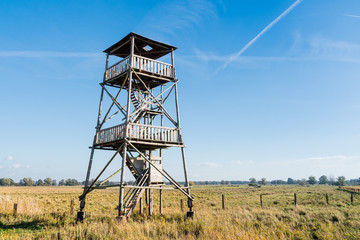 Wooden lookout tower over the Szczecin Lagoon.