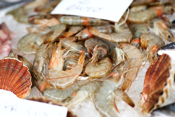 Fresh oysters and shrimp on display a containing on ice at seafood restaurant.