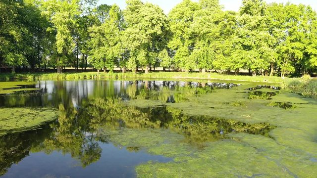 przelot nad stawem w parku, wiosna zielono, zach&oacute;d słońca