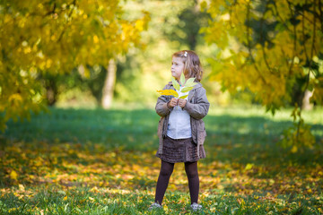 Pretty little girl on a walk in the autumn forest  Autumn landscape background