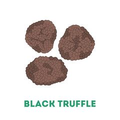 Black truffle mushroom
