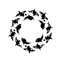Vector illustration killer whales swimming in a circle. Marine animal round frame on white background. Jamb of Orca © olhabocharova