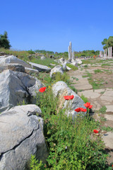 The ruins of the ancient city of Side.
