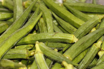 ladyfinger in INDIA is a vegetable is hybrid 