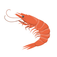 Red shrimp. Fresh seafood, restaurant meal. Ingredient