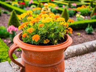 organic lush english garden