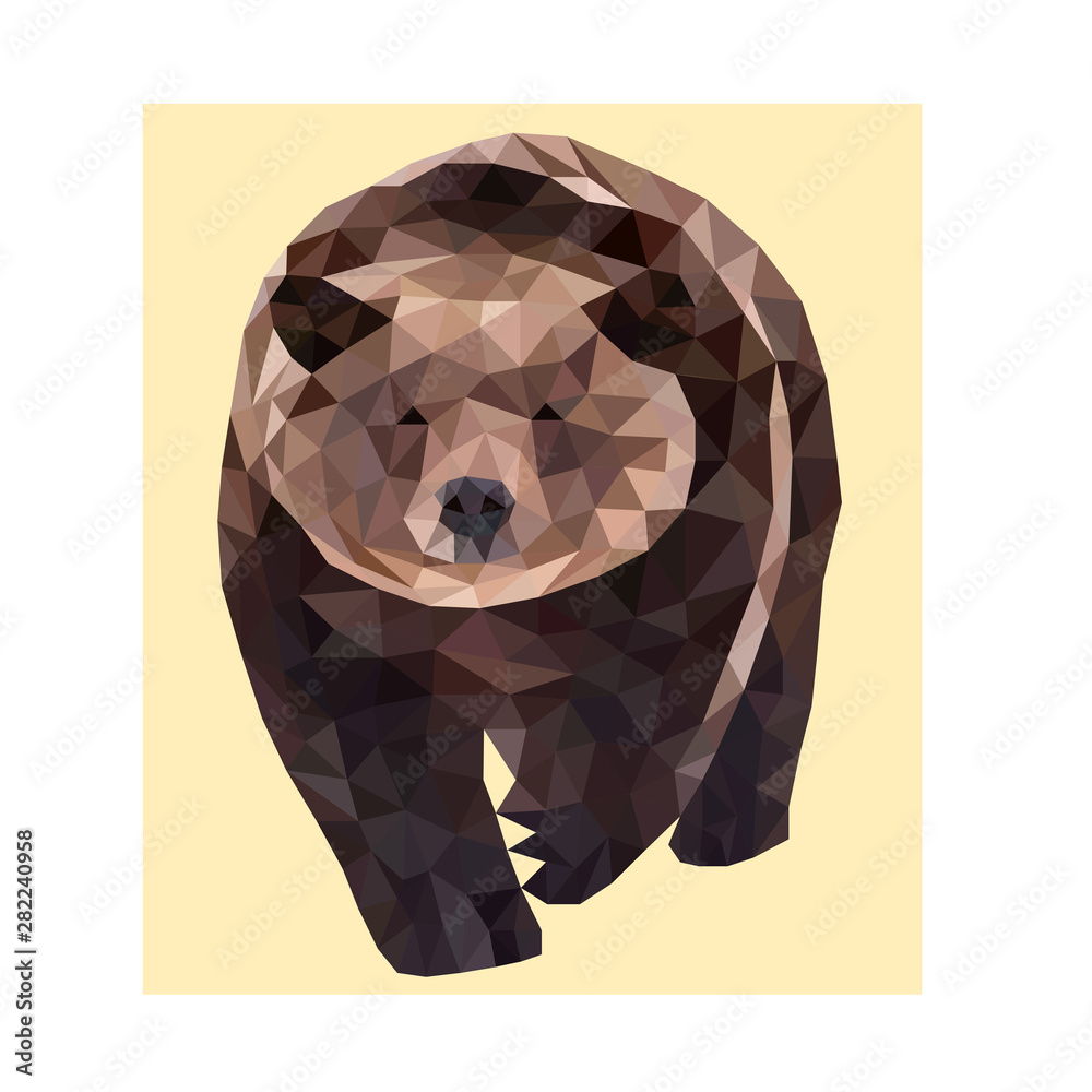 Wall mural polygon brown wild vector bear