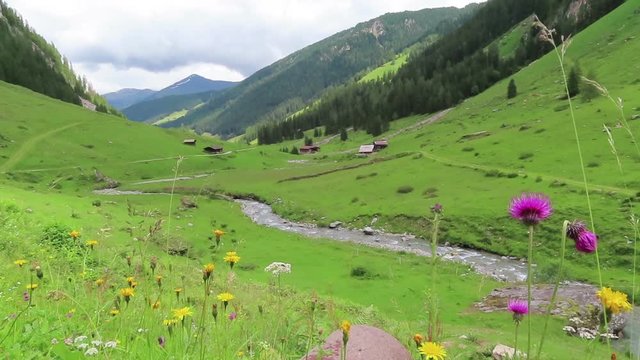 Stream through Schoenachtal valley in Tirol Austria. Flowers all along. Farm houses in background