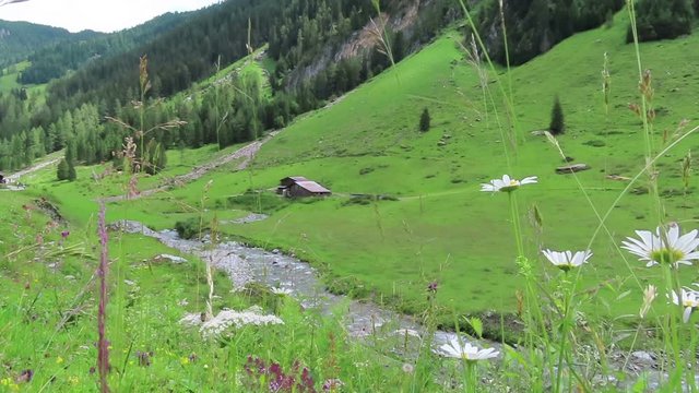 Stream through Schoenachtal valley in Tirol Austria. Flowers all along. Farm houses in background