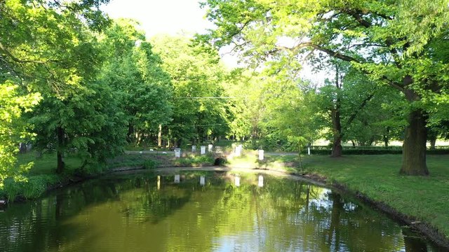przelot nad stawem w parku, wiosna zielono, zach&oacute;d słońca