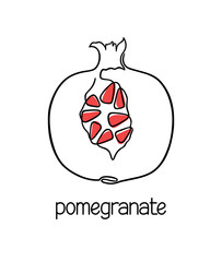 Pomegranate drawing in one continuous line, with color accents