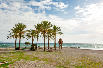 empty sandy beach in winter with palm tree and life guard stand in winter