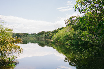 Fototapeta na wymiar Reflection of trees in the Tapajós River in Alter do Chão, Pará, Brazil