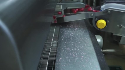 The production of caramel sweets lollipops. Production Line. Making custom made candy, slow motion