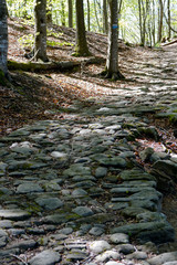 The ruins of the ancient roman road 