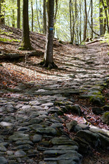 The ruins of the ancient roman road 