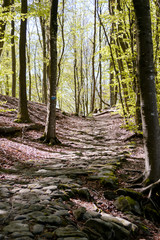 The ruins of the ancient roman road 