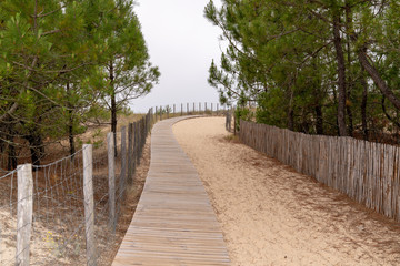 Fototapeta na wymiar wooden boardwalk on the sand go to Cap Ferret beach grand crohot name