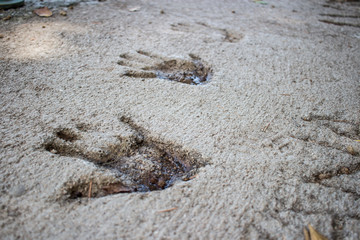 Handprints in stone