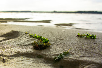 stones on the beach