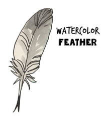Watercolor feather illustration.Writing tool. Hand drawn illustration.