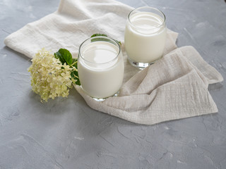 Obraz na płótnie Canvas Two glasses of natural milk on a gray background. Copy space.
