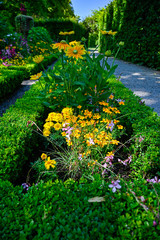 corange and yellow oneflowers in a flowerbed