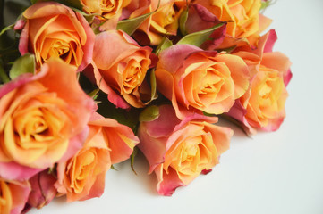 bouquet of beautiful pink and orange roses on a light background. bouquet of flowers.