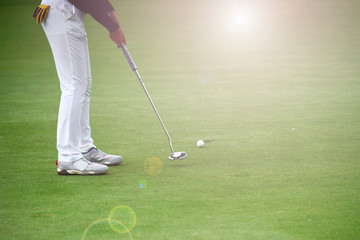 Fototapeta premium golfer putting on green