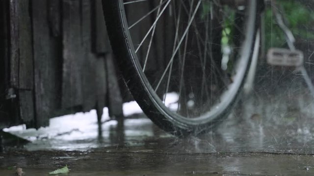 Vintage bicycle parking at the tropical garden while take a break from raining storm