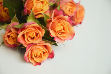 bouquet of beautiful pink and orange roses on a light background. bouquet of flowers.