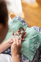 Woman stimulating kittens stomach