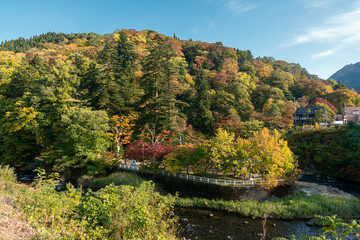 Fototapeta na wymiar Autumn leaves at Nakano Momiji mountain, Kuroishi, Aomori, Japan
