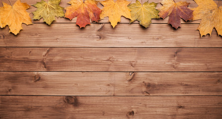 Naklejka na ściany i meble Seasonal autumn background. Frame of colorful maple leaves over grey.