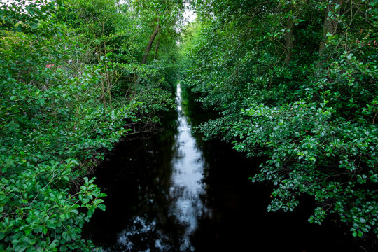 Peaceful and tranquil stream with dark water in a forest glade and surrounding green leaf trees.