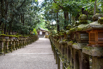 春日大社　参道