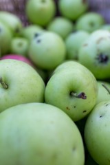 green apples