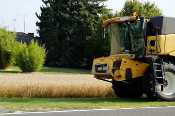 Combine for harvester harvests wheat.  Tractor working on the farm. modern agricultural transport. concept of agriculture and agricultural machinery. modern tractor close up. 