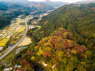 Aerial of autumn leaves at Nakano Momiji mountain, tourist attraction , Kuroishi, Aomori, Japan (Photo from drone)
