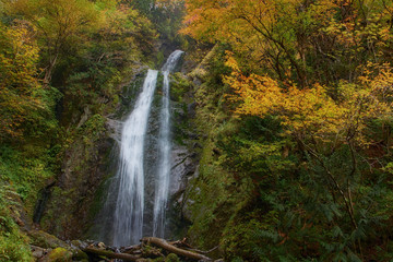 Mikaeri Falls (waterfall) and vibrant autumn colors at Dakigaeri Gorge autumn foliage, Kakunodate, Akita Prefecture