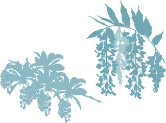 tree blossoms light silhouettes on white