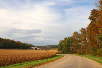 Fototapeta na wymiar Wisconsin rural autumn nature background. Scenic landscape with countryside road along ripe corn fields and colorful trees. Farm buildings in a background. Farming concept. Midwest USA, Wisconsin.